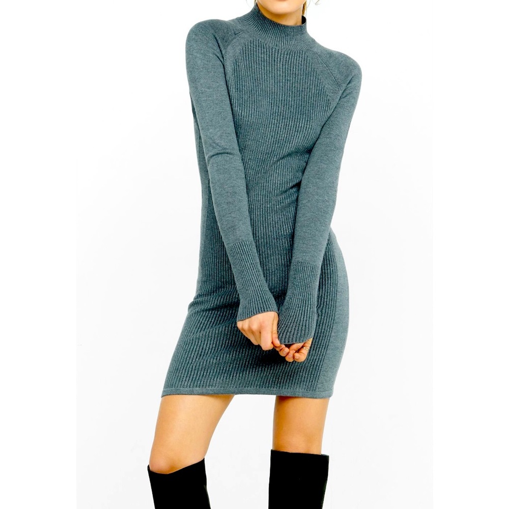 Express Sweater Dress